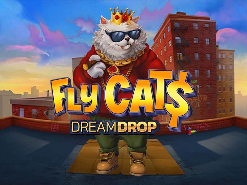 Fly Cats Dream Drop