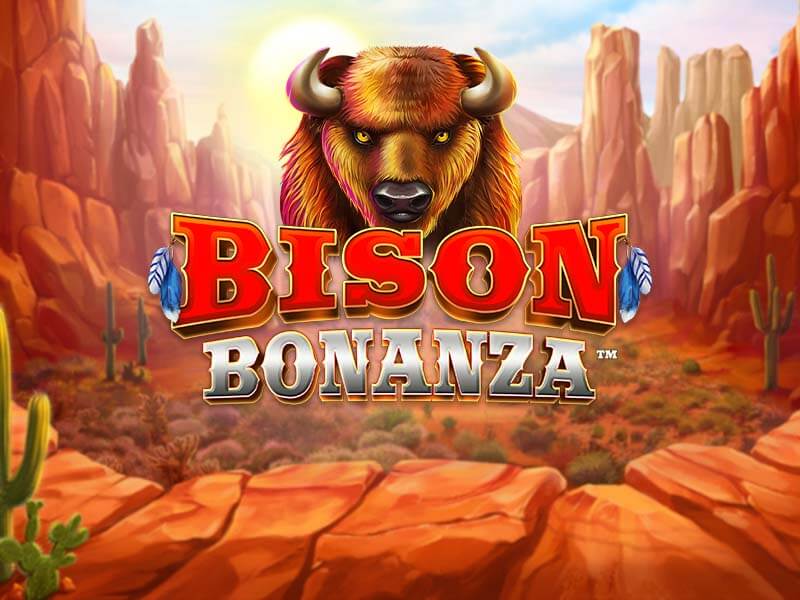 Bison Bonanza