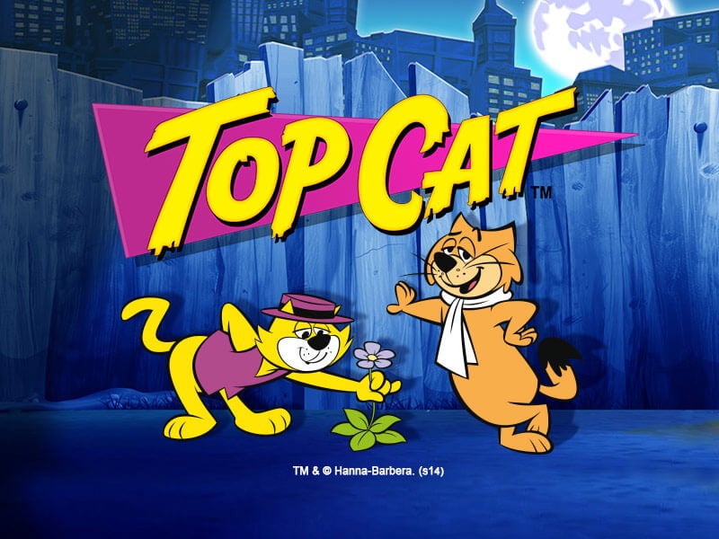 Top Cat