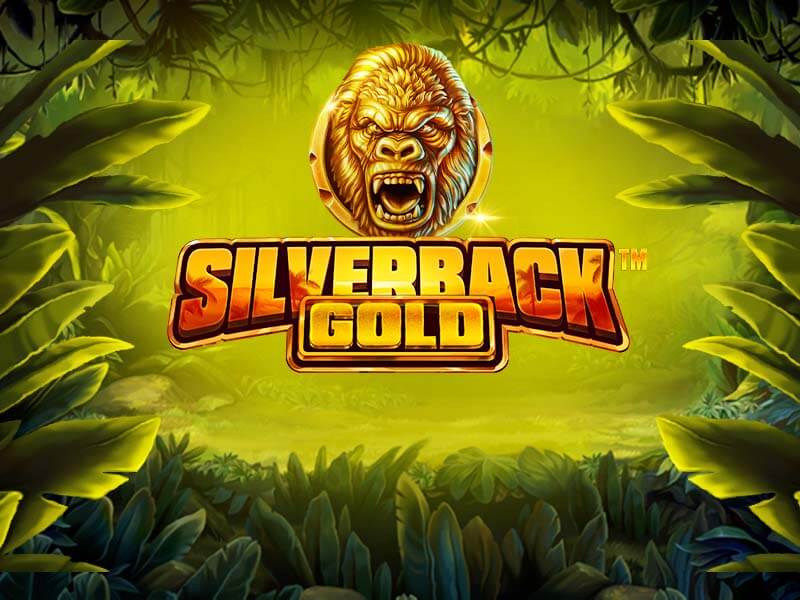 Silverback Gold