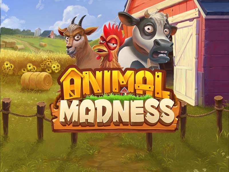 Animal Madness