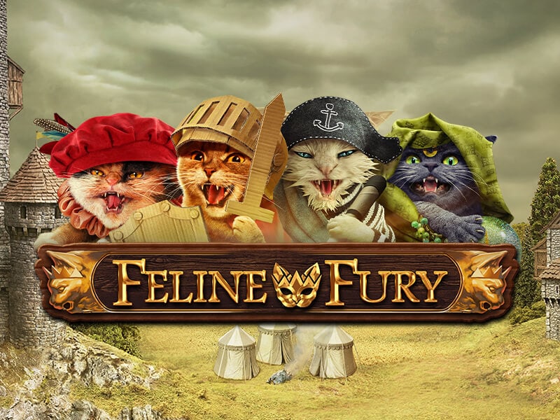 Feline Fury