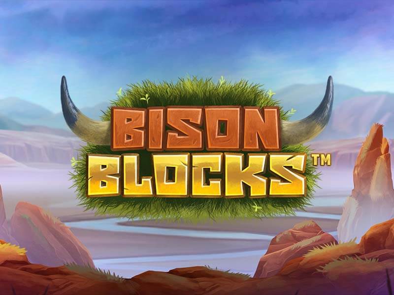 Bison Blocks