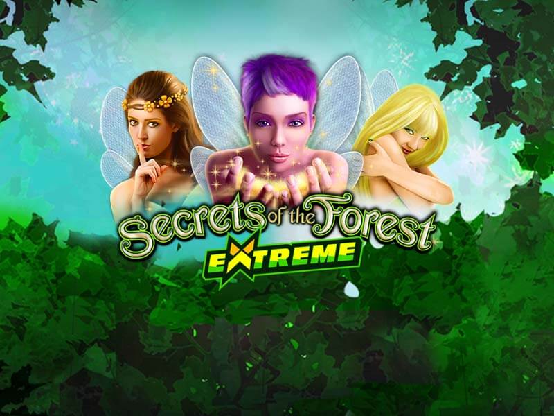 Secrets of the Forest Extreme