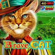 Brave Cat