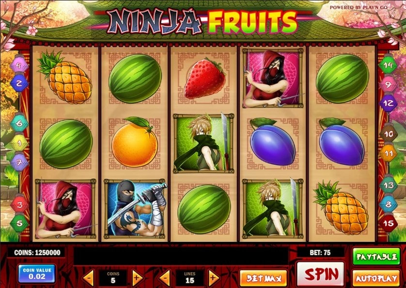 Mängi kohe - Ninja Fruits